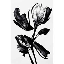 Pelcasa Black Flower Plakat 70x100cm