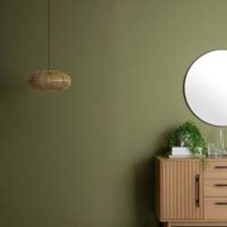 Dunelm Light Moss Eggshell Emulsion Green