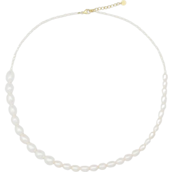 Sorelle Jewellery Windy Necklace - Gold/Pearl