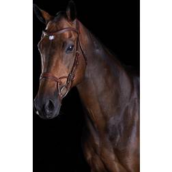 Weatherbeeta ComfiTec Training Bridle - Brown