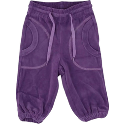 Katvig Baby Velor Pants - Purple