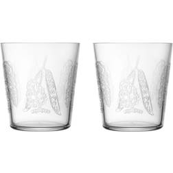 Iittala Taika Sato Dricksglas 38cl 2st