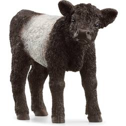 Schleich Galloway Calf 13969