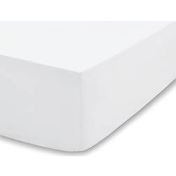 Bianca 200 Thread Count TENCEL Bed Sheet White