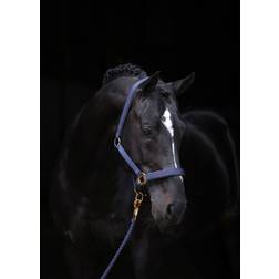 Covalliero TopLine Grimma DB/AB unisex