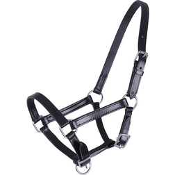 QHP Chico Leather Foal Headcollar - Black