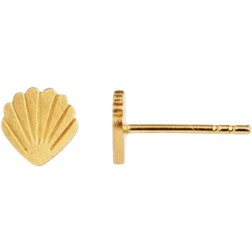 Stine A Petit Shell Earring - Gold