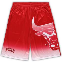 Fanatics Men's Chicago Bulls Big & Tall Graphic Shorts