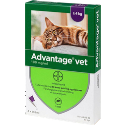 Bayer Advantage Vet Kat 100mg/ml 4x0.8ml