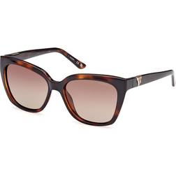 Guess Polarized 52H Pants - Havana