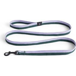 Hay Hundesnor Dogs Leash-Flat