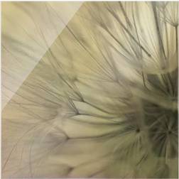 Klebefieber Soft Dandelion II Gold Wall Decor 30x30cm