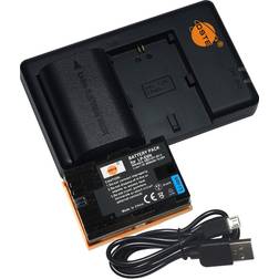 Dste Dual Slots USB Charger + LP-E6N Camera Batteries 2600mAh 2-pack
