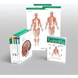 Sobotta Atlas of Anatomy, Package, 17 (Häftad)