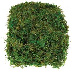 Baker Ross Dried Moss 100g