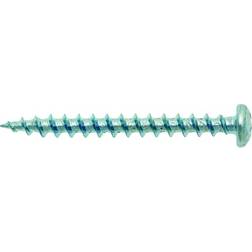 Bizline Elektrikerskruv Torx T20 250-pack 4,2x55 250st