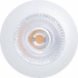 EVO1-12V Matt White Spotlight