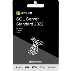 Microsoft SQL Server 2022 Standard