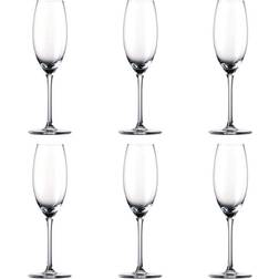 Rosenthal Thomas Divino Champagne Glass 6.4fl oz 6