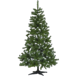 SnowTime Colorado Frosted Green Christmas Tree 240cm