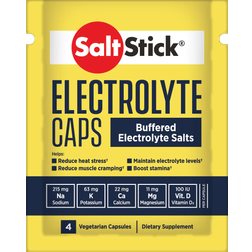 SaltStick Electrolyte 4 stk