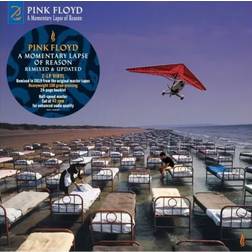 A Momentary Lapse Of Reason 2019 Remix (CD)