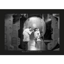 Komar Star Wars Classic Leia Multicolour Poster 70x50cm