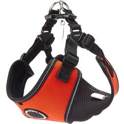 Puppia Dog Trek Harness C XL