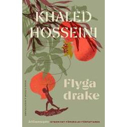 Flyga drake (Häftad)