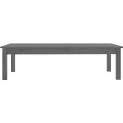 vidaXL 814236 Grey Table Basse 50x110cm