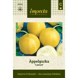 Impecta Äppelgurka 'Lemon'