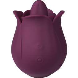 Amaysin Licking Rose Vibrator Lila