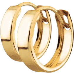 Albrekts Guld Earrings - Gold