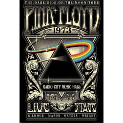 Floyd Music The Moon City Clear Poster Hanger Poster 24x36"