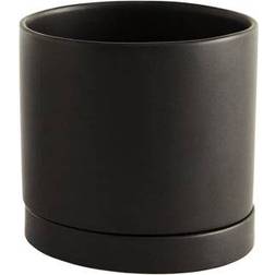 AllModern Carlotta Pot ∅7"