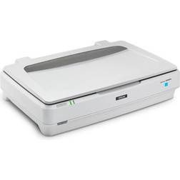 Epson Expression 13000XL