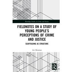 Fieldnotes on a Study of Young People's Perceptions of Crime and Justice: Scaffolding as Structure (Indbundet, 2022)