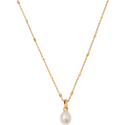 Syster P Treasure Single Necklace - Gold/Pearl