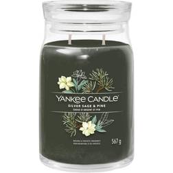 Yankee Candle Silver Sage & Pine Large Jar Bougie Parfumée 567g