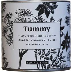Teministeriet Ayurveda Tummy Økologisk Te 20stk 1pak