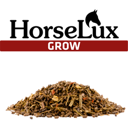 HorseLux Grow 15 kg