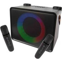 Easy karaoke Bluetooth Machine With 2 Mics