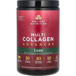 Ancient Nutrition Multi Collagen Advanced Powder Lean Cinnamon 450g