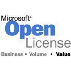 Microsoft Word SNGL LicSAPk OLV NL 1Y AqY1 AP