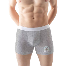 Green Fish Men's Boxer Briefs - Grey