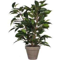 Mica Decorations 930307 Ficus Natasja Stan Pot, Polyester, Green, 30 x 30 x 40 cm Artificial Plant