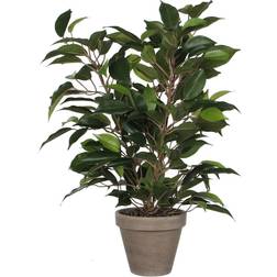 Mica Decorations 930307 Ficus Natasja Stan Pot, Polyester, Green, 30 x 30 x 40 cm Konstgjord växt