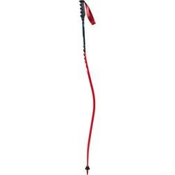 Swix WC Pro DH Carbon Pole