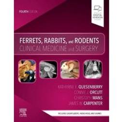 Ferrets, Rabbits, and Rodents (Häftad, 2019)