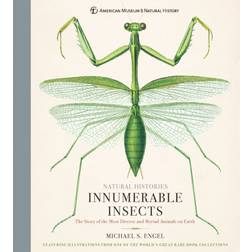 Innumerable Insects (Inbunden, 2018)